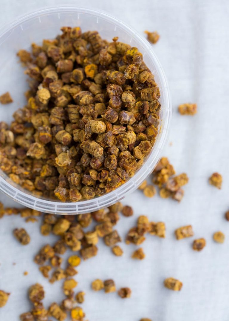 مستشارة التغذية بـ” معجزة الشفاء ” :   خبز النحل يعزز تحسين الخصوبة لدى الرجال