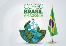 البرازيل توفر كبائن مجانية لتشجيع الدول الفقيرة على حضور كوب30