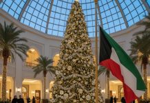 اتحاد أصحاب الفنادق: لا مخالفات على عرض شجرة عيد الميلاد بالفنادق